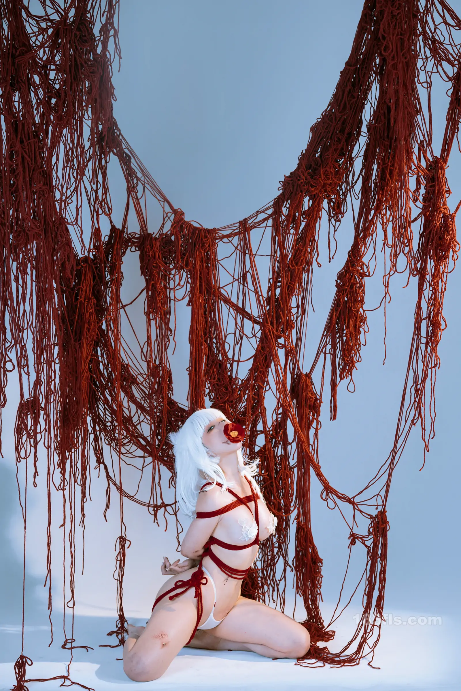 蠢沫沫 – 折翼-第2张图片-宅男套图吧